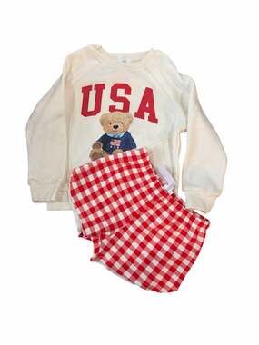 Toddler Girls USA Teddy Bear Sweatshirt & Gingham Shorts Set – Size 4T